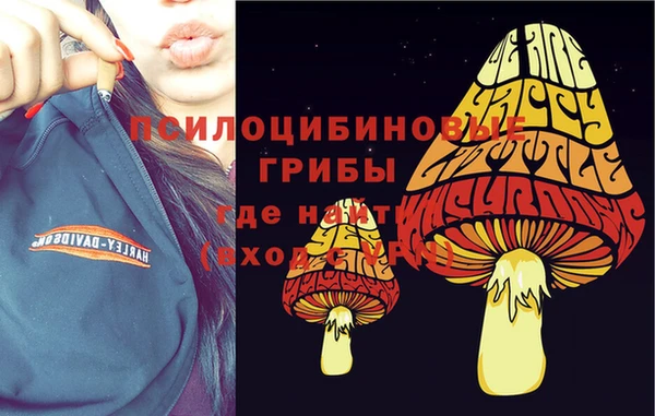 Альфа ПВП Баксан