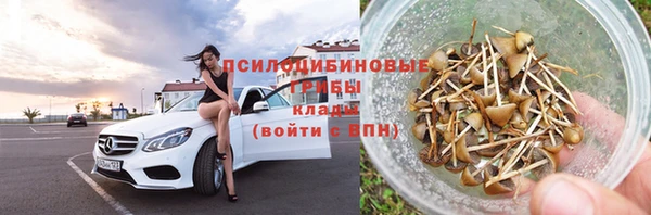 шишки Балабаново