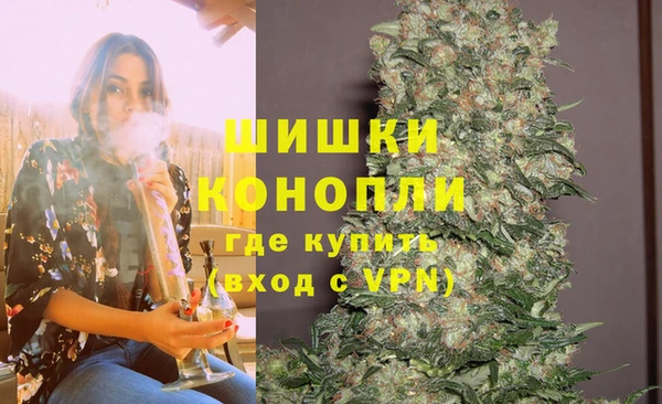 шишки Балабаново