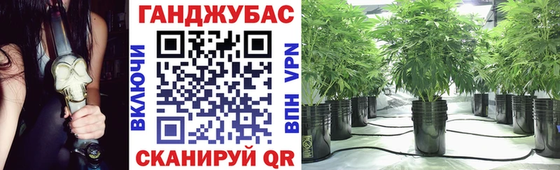 Бошки Шишки OG Kush  где найти наркотики  Шатура 
